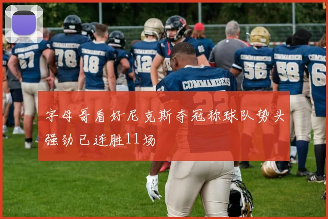 字母哥看好尼克斯夺冠称球队势头强劲已连胜11场